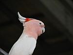 IMG_2791.JPG