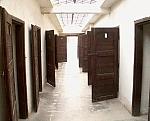 The German cells.