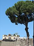 IMG_8574