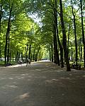 Summer Gardens