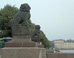 Lions