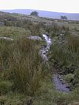 Stream