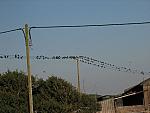 IMG_3053.JPG
