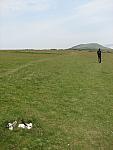 IMG_3118.JPG