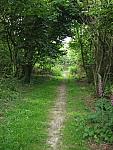 IMG_3169.JPG