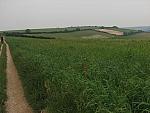 IMG_3198.JPG