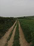 IMG_3199.JPG