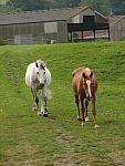 IMG_3226.JPG