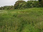 IMG_3235.JPG