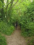 IMG_3250.JPG