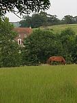 IMG_3264.JPG