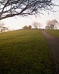 Primrose Hill