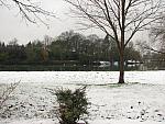 Richmond meadow