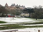 Richmond meadow