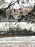 Richmond meadow