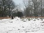 Richmond Park