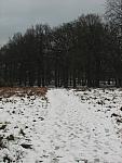 Richmond Park