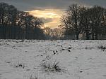Richmond Park