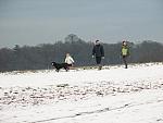 Richmond Park