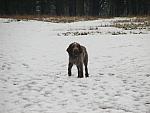 Richmond Park