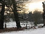 Richmond Park