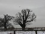 Richmond Park