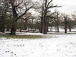 Richmond Park