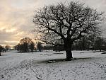 Richmond Park