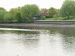 Borne Regatta 021.jpg