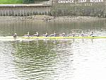 Borne Regatta 024.jpg