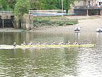Borne Regatta 025.jpg