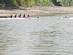 Chiswick Regatta 006.jpg