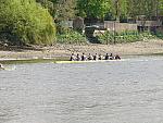 Chiswick Regatta 011.jpg