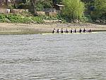 Chiswick Regatta 012.jpg