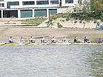 Chiswick Regatta 013.jpg
