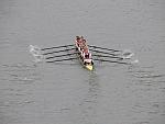 HORR 018