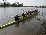 Hammersmith Regatta 017.jpg