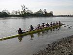 Hammersmith Regatta 018.jpg