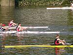 Chiswick Regatta