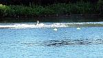 DSCF0541