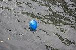 IMG_1251.jpg