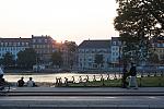 IMG_1290.jpg