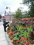 P1110767.jpg